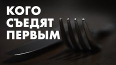 «Анонима съедят первым»: как защитить свои права в России