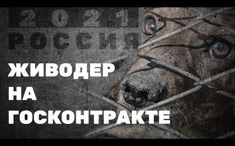 Живодер на госконтракте