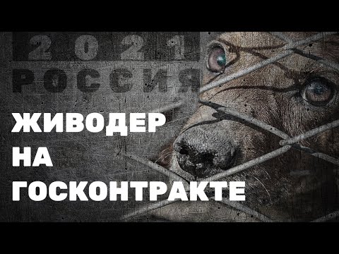 Живодер на госконтракте