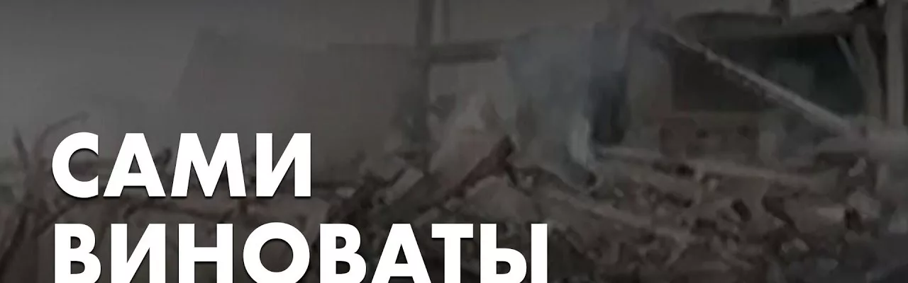 Сами виноваты