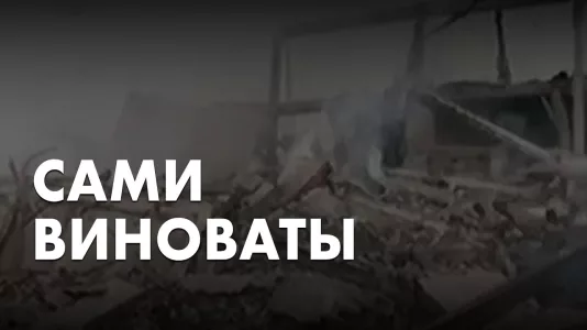 Сами виноваты