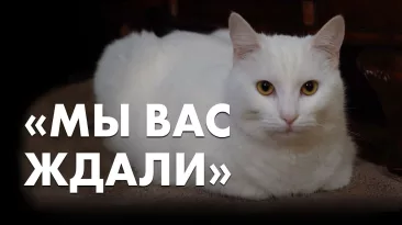 "Мы вас ждали"