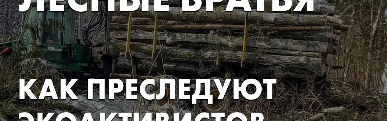 Лесные братья. Как преследуют экоактивистов