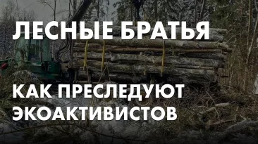 Лесные братья. Как преследуют экоактивистов