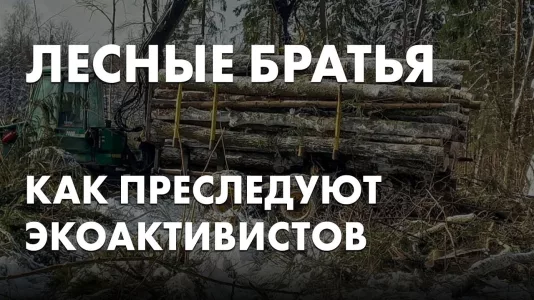 Лесные братья. Как преследуют экоактивистов