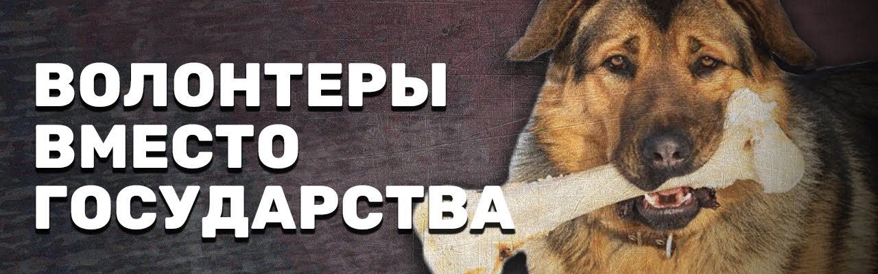 Волонтеры вместо государства