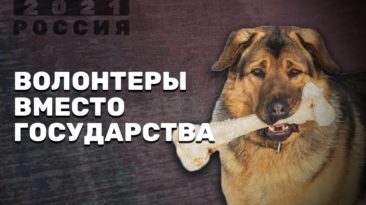 Волонтеры вместо государства