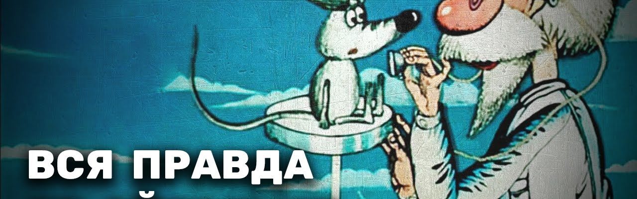 Как Айболит стал самураем – «Путь самурая»