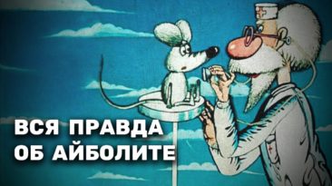 Как Айболит стал самураем – «Путь самурая»