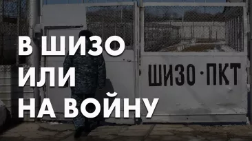 В ШИЗО или на войну