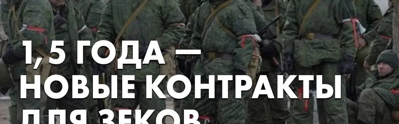 1,5 года - новые контракты для зеков
