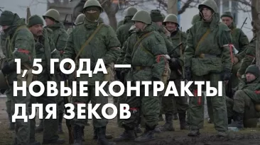 1,5 года - новые контракты для зеков