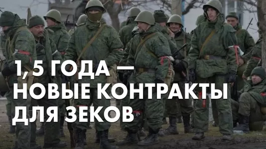 1,5 года - новые контракты для зеков