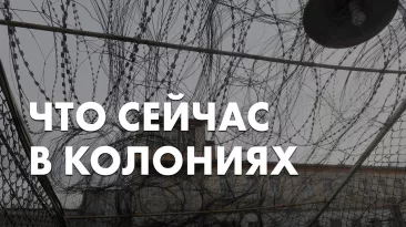 Что сейчас в колониях